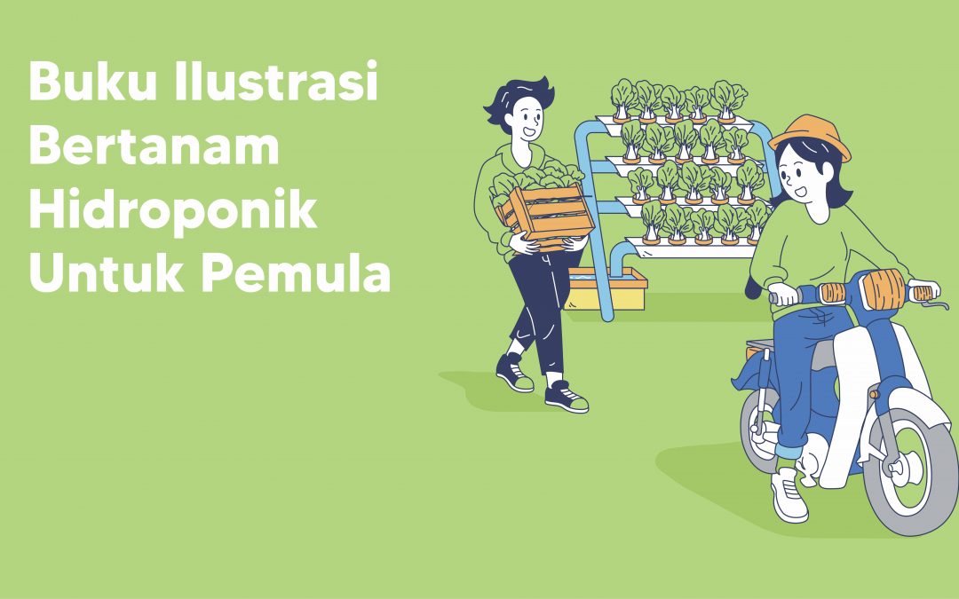 Perancangan Buku Ilustrasi Bertanam Hidroponik Untuk Pemula