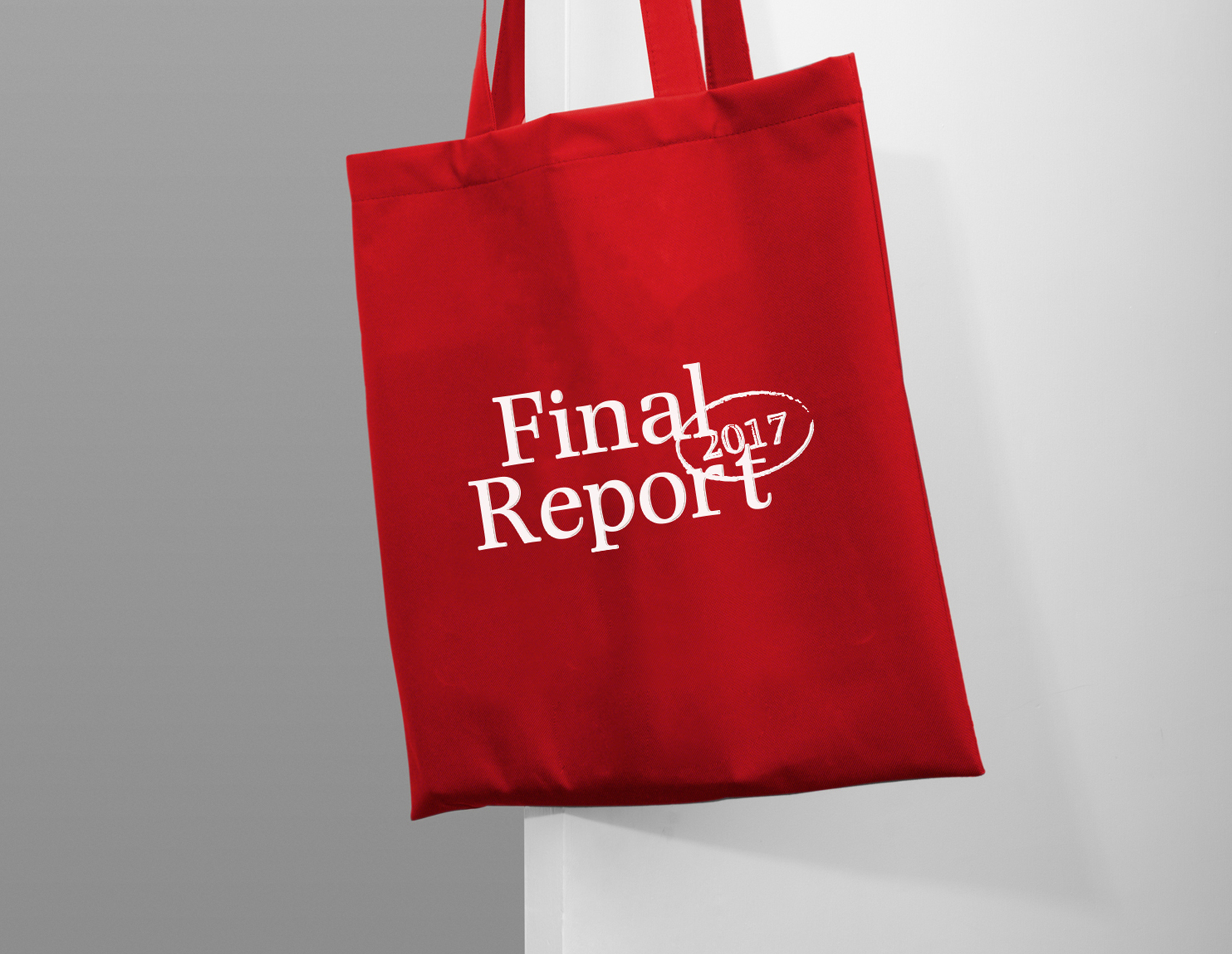 Final Report 2017_7