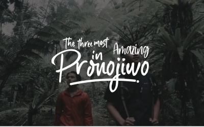 PERANCANGAN VIDEO PROMOSI WISATA AIR TERJUN PRONOJIWO KABUPATEN LUMAJANG MELALUI VIDEO TREVELING