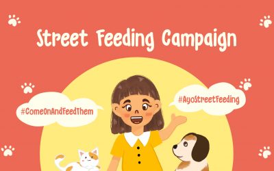 Perancangan Kampanye Sosial Untuk Hewan Jalanan “Street Feeding”