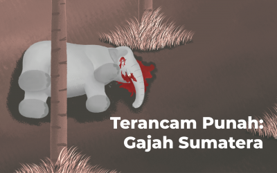PERANCANGAN VIDEO EXPLAINER “TERANCAM PUNAH: GAJAH SUMATERA”