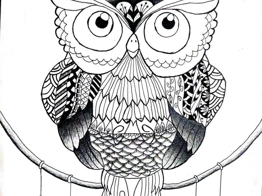 The OWL