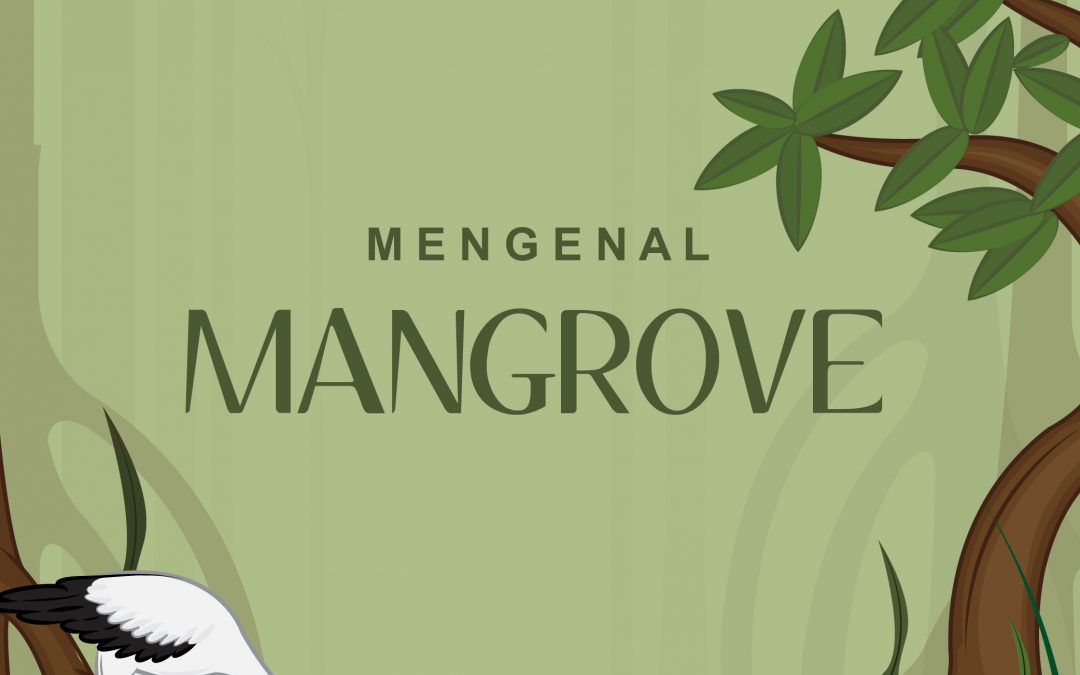 Buku Ilustrasi “Mengenal Mangrove”