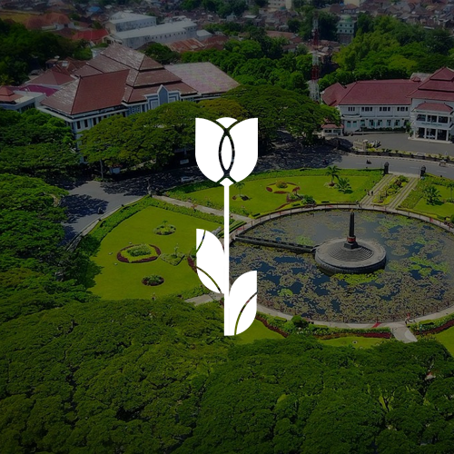 Malang (The Little Dutch)