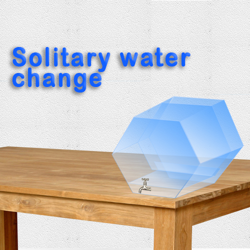 Solitary Water Change