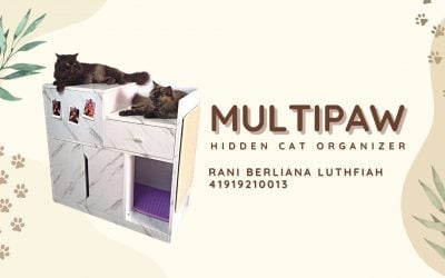 HIDDEN CAT ORGANIZER